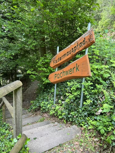 Ruine Waldeck - Fledermauspfad