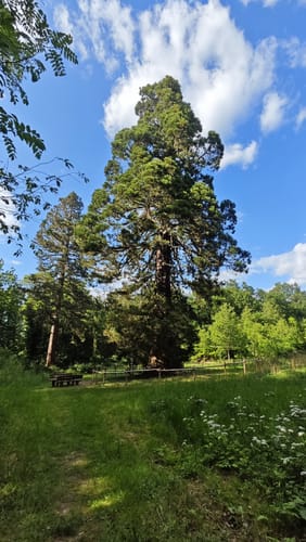 Um den Niddastausee