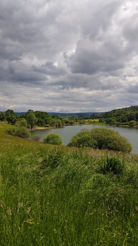 Um den Niddastausee