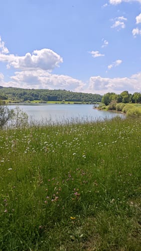 Um den Niddastausee