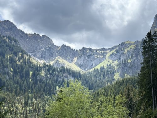 MTB: Rund um den Fürther Stadtwald