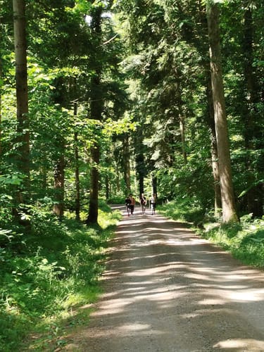 Sulz Lauf