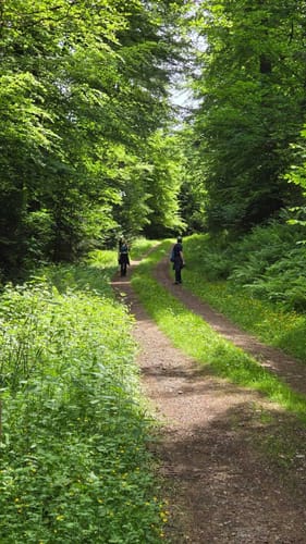 Sulz Lauf