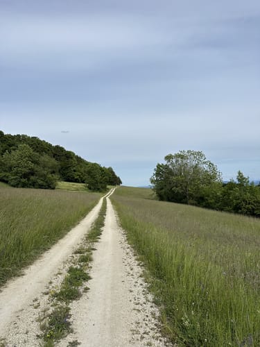 Guggenmühle - Heiterhof - Bergöschingen - Bergwald