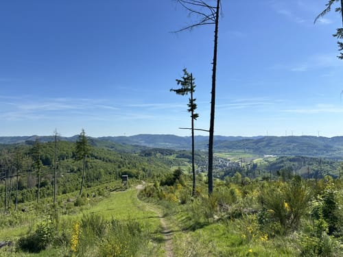 Boxbachpfad (Extratour)