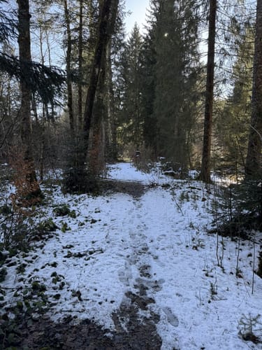 Rund um Mosenberg