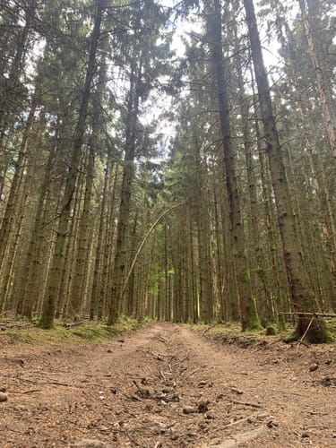 Eidsberg - Oberhirschberg Runde