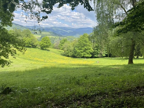 Rümmelesbühl ab Gresgen