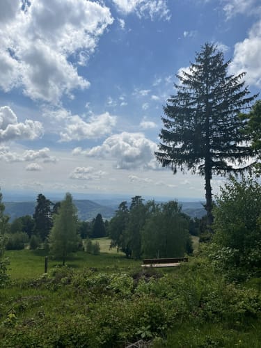 Rümmelesbühl ab Gresgen