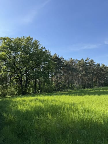 Hohenleipischer Obstwiesen