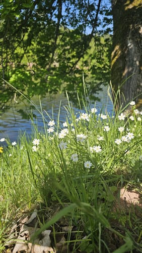 Drachenschlucht