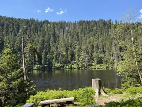 Glaswaldsee - Teufelskanzel - Südliche Griesbacher Wasserfälle
