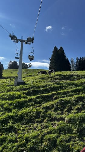 Ratholz - Alpe Starkatsgund