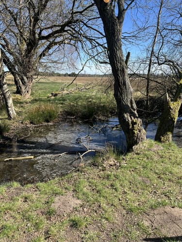 Moorrundweg Pietzmoor