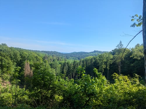 Würzbach Runde