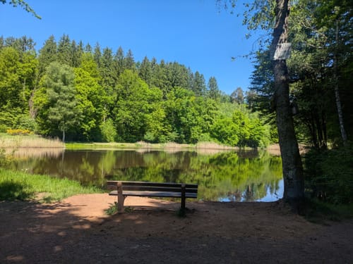 Würzbach Runde