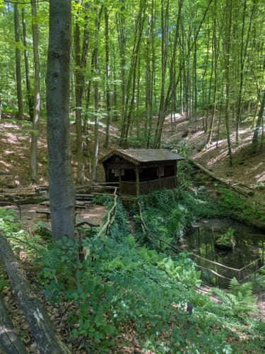 Würzbach Runde