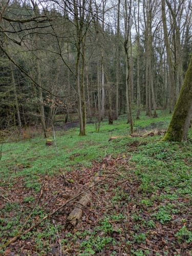 Ahlsburg und Burg Grubenhagen ab Dassensen