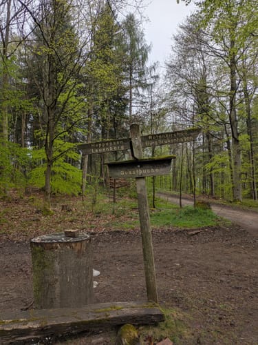 Ahlsburg und Burg Grubenhagen ab Dassensen