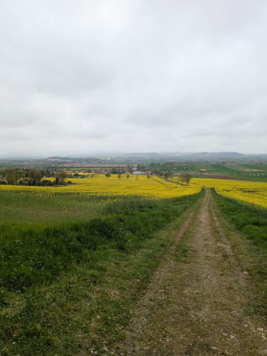 Ahlsburg und Burg Grubenhagen ab Dassensen