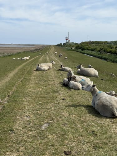 Rundweg Markelsdorfer Huk