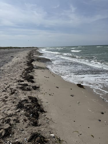 Rundweg Markelsdorfer Huk