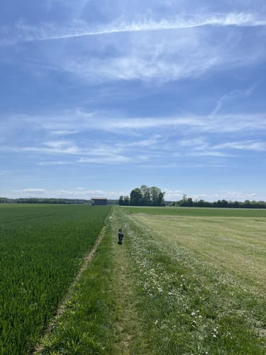 Rund um Höhenkirchen-Siegertsbrunn