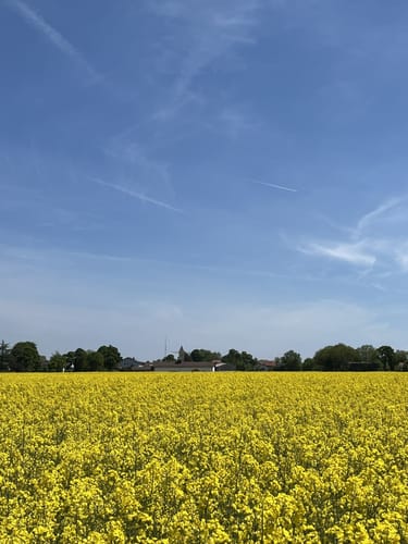 Rund um Höhenkirchen-Siegertsbrunn