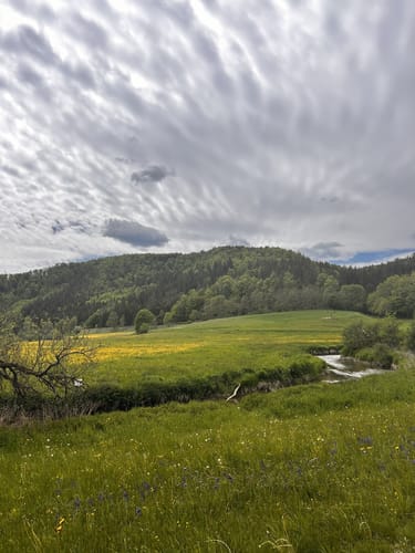 Premiumwanderweg: Wilde Täler - Fürstliche Höhen
