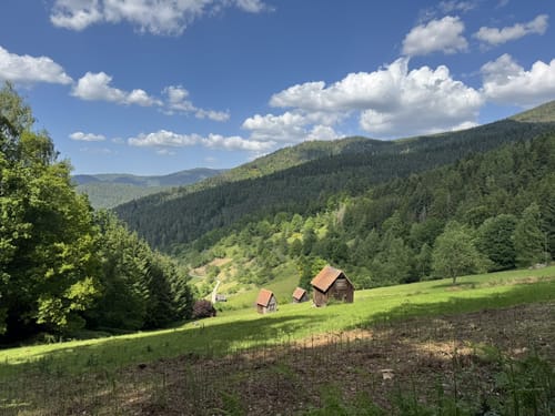 Langenbrand entlangs dem Hohe Schaar