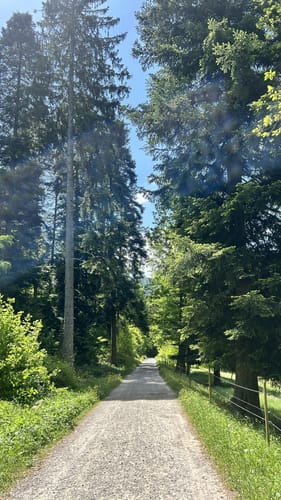 Oberes Albtal - Quellenlehrpfad and Großes Loch