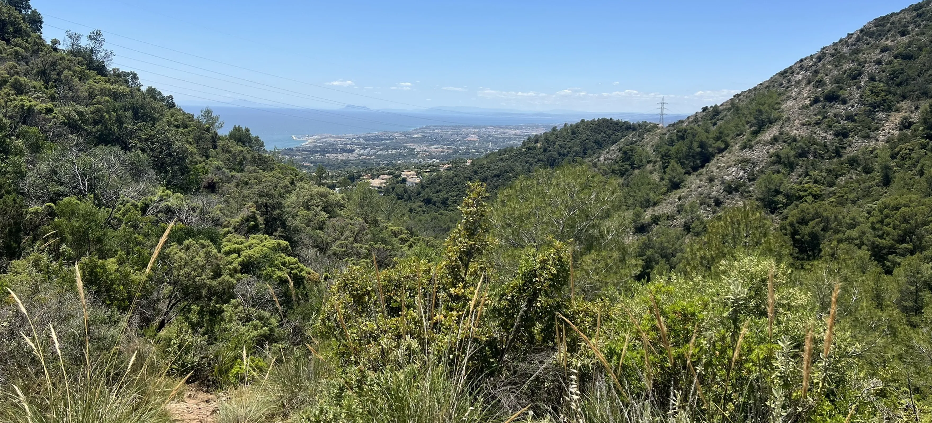 Pinar de Nagüeles - Refugio de Juanar - Ojen