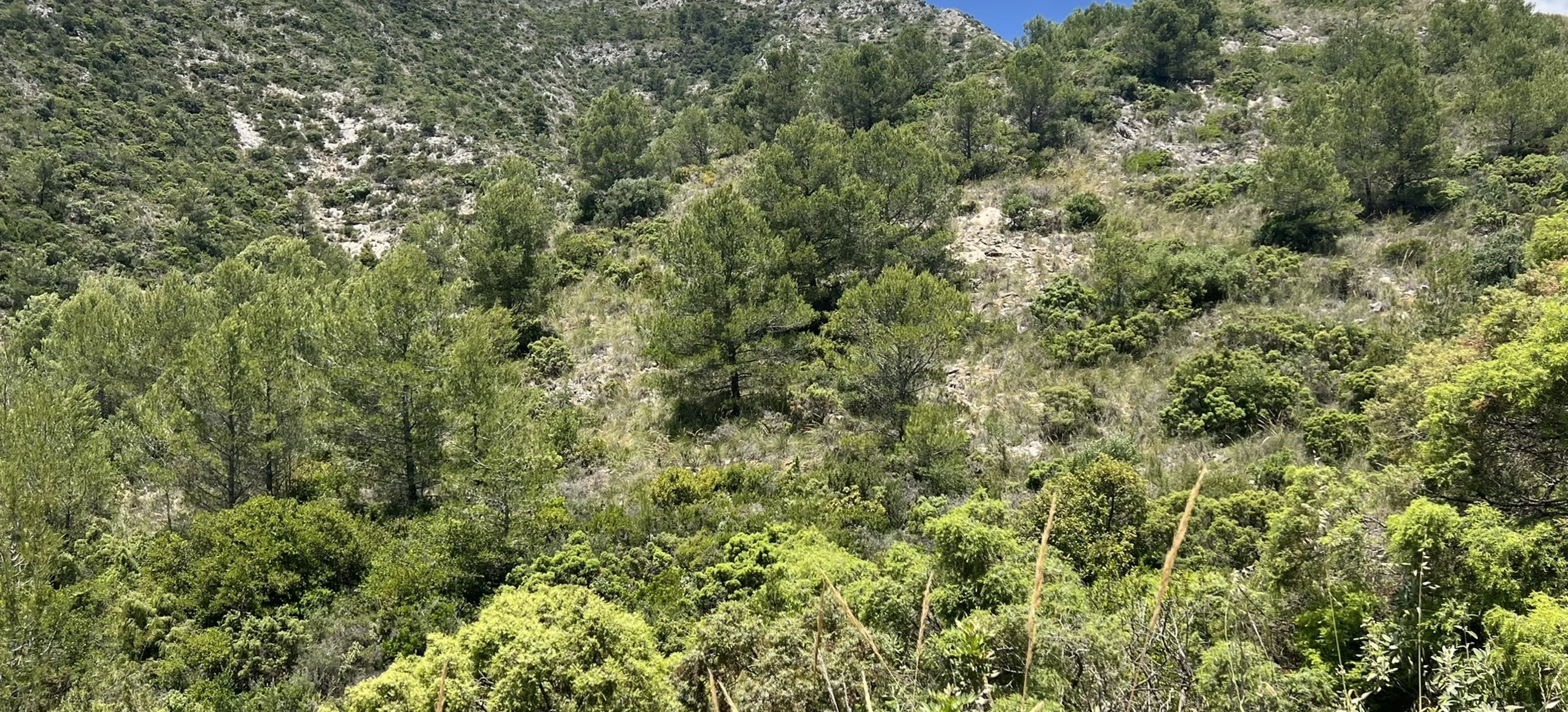 Ermita de los Monjes - Cañada de la Rana