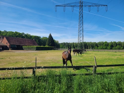 Pente: Rundweg 5