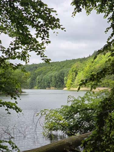 Rund um den Ukleisee