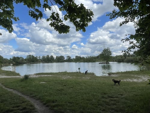 Kleine Runde um den Böhmerweiher