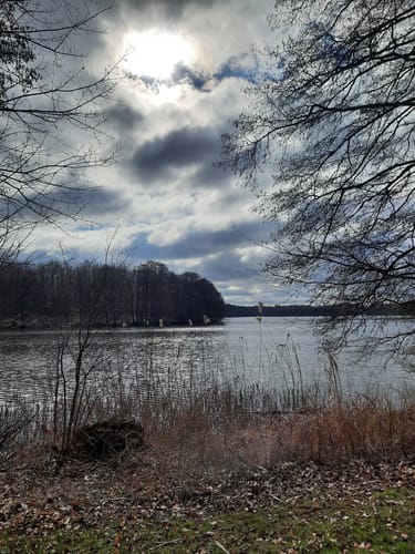 Rund um den Lütjensee