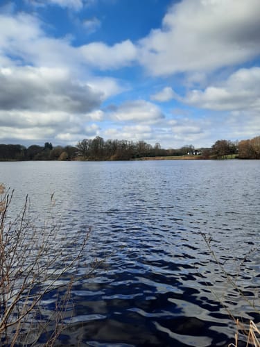Rund um den Lütjensee