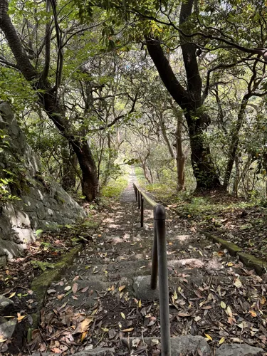 Ota River - hikes and trails to get you there | AllTrails