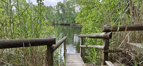 Naturlehrpfad Tongrube Rüterberg