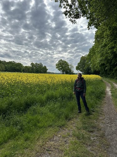 Malerweg Etappe 1: Pirna-Liebethal - Stadt Wehlen