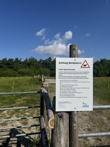 R 29: Tag des Wanderns (Davensberg)