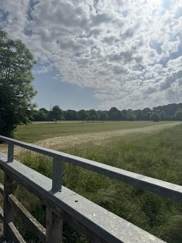 R 29: Tag des Wanderns (Davensberg)