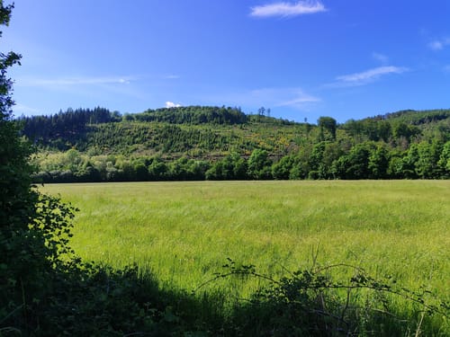 Rund um Vilkerath