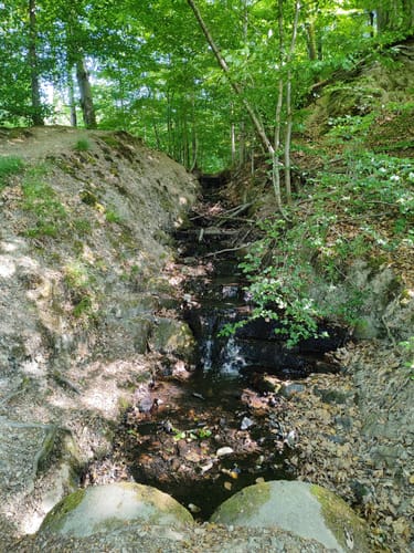 Rund um Vilkerath