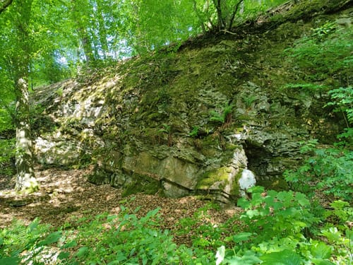 Rund um Vilkerath