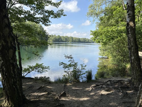 Schwalmbruch (Premiumwanderweg)