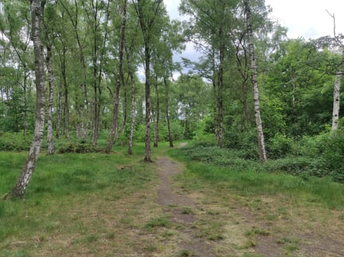 Rund um Dortmund-Ems-Kanal und Halde Emscher-Lippe