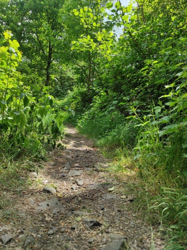 Rund um Dortmund-Ems-Kanal und Halde Emscher-Lippe