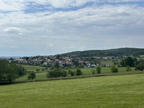 Rund um den Hornwald und die Hochburg
